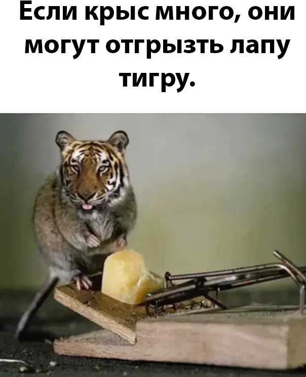 Так себе картинки 12.11.24