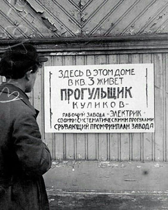 Прикольные и просто красивые картинки 31.12.2024