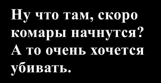 Маленькая пятница 16.04.25