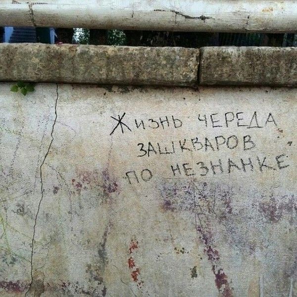 Прикольные и просто красивые картинки 05.08.2025