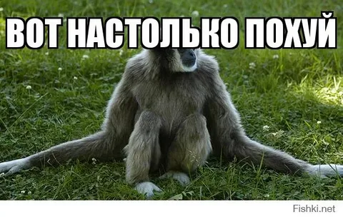 Труп в Lamborghini: криптоблогер Костя Кудо покончил с собой в Киеве
