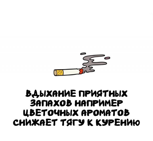 Интересные и короткие факты на все случаи жизни 05.01.26