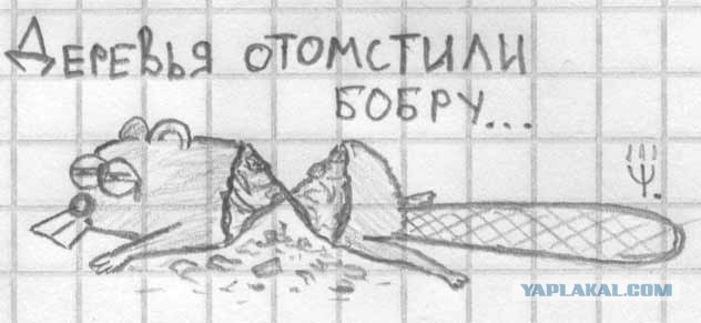 Наркоманские карикатуры (5 штук)