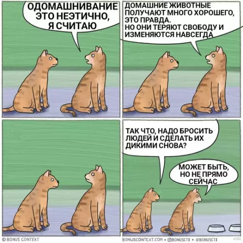 Картиночки, баянчики 13 марта