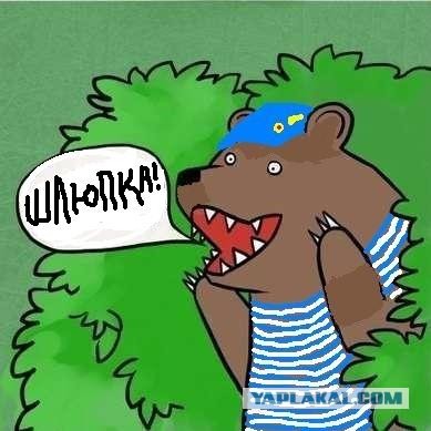 Сломал систему!