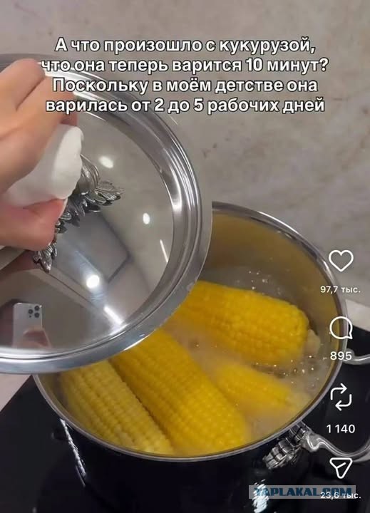 Картинки для деградации 239 (разной степени свежести)