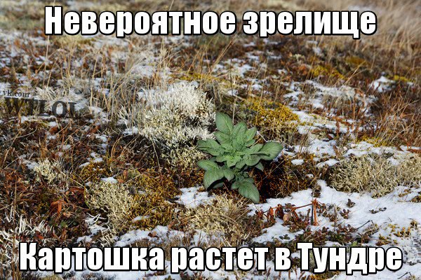 War Thunder