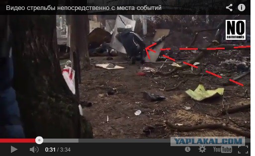 Люди встречают "Беркут". Донецк