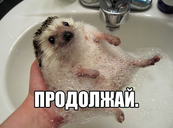 Принять ванну... выпить чашечку кофе...