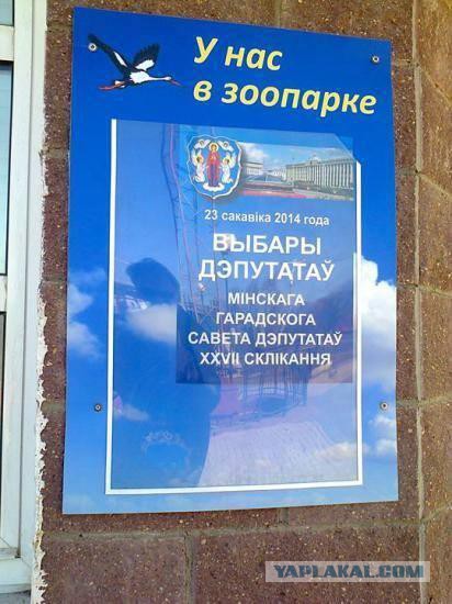 Гении рекламы на avito