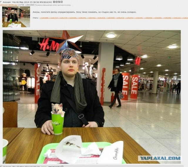 Солидность