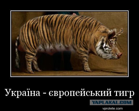 За линией фронта