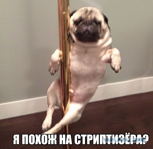 Картинки с просторов интернета