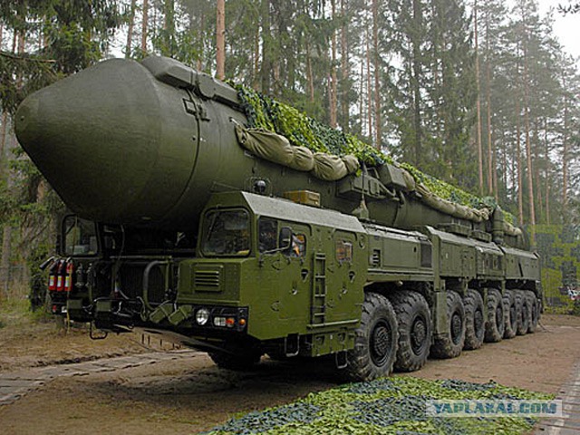 Что за "животное"?