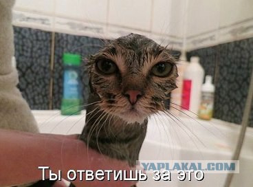 Улыбнуло часть "2"