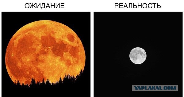 Добряки, плюсующие всех подряд