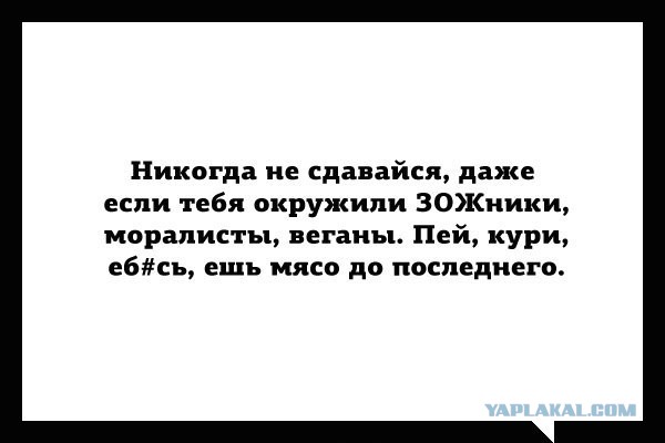 30 саркастичных «аткрыток»