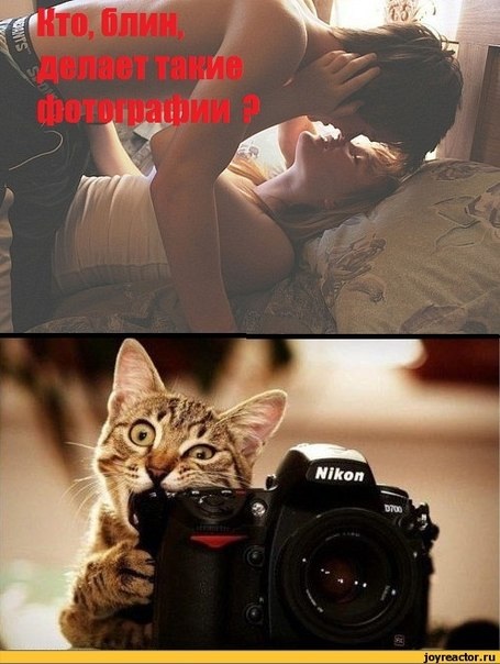 Смешные картинки из соц. сетей.