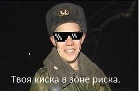 Фотожабы про спасение Барсика