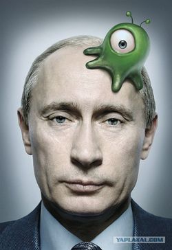 Личинки мозгового слизня