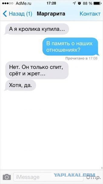 Смешные комментарии из социальных сетей