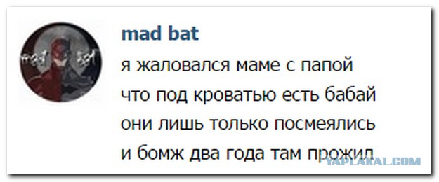 Смешные комментарии из социальных сетей 11.11.2014