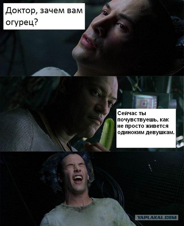 Сила Земли