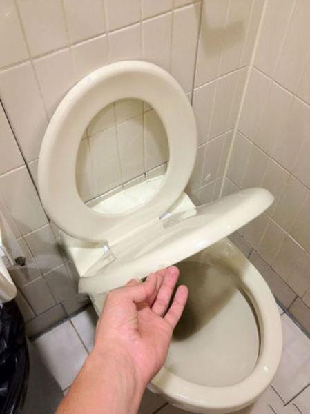 Весёлые картинки