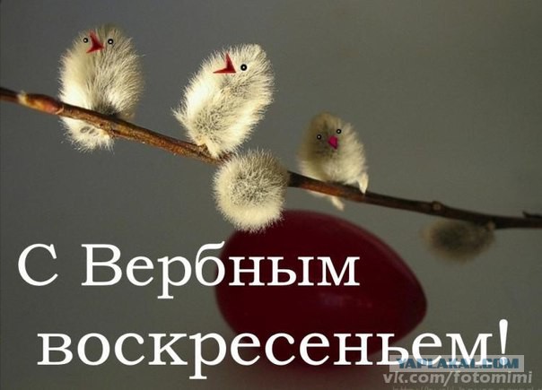 Картинка вербное воскресенье прикольные, открытки детей