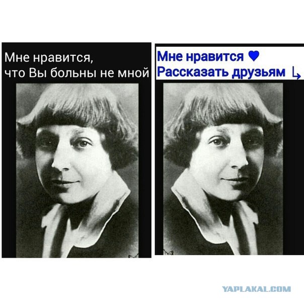 Забавные картинки из Сети