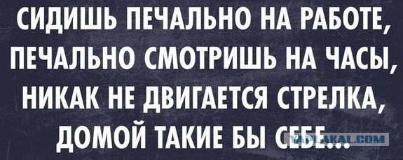 Минутка шизофрении