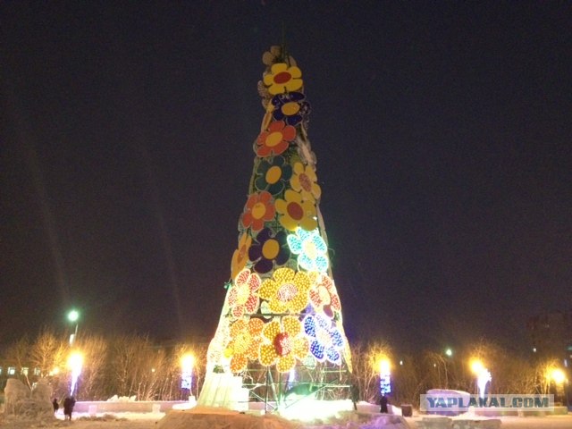 Елочная фаллометрия