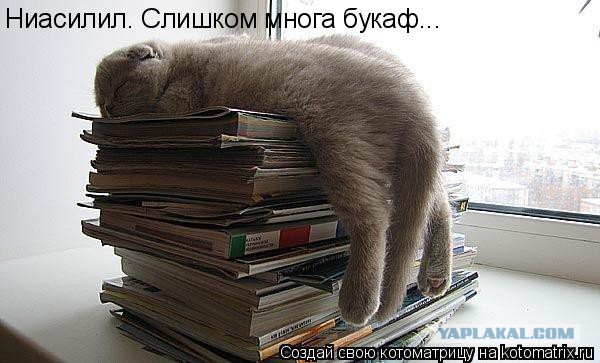 Золотой капкан Путина