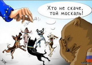 10 политических картинок часть 8