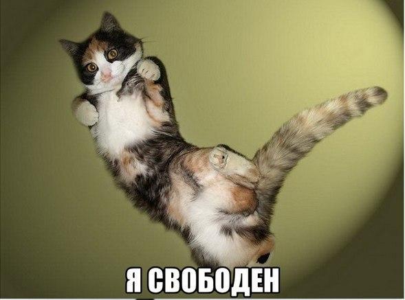 Немного картинок