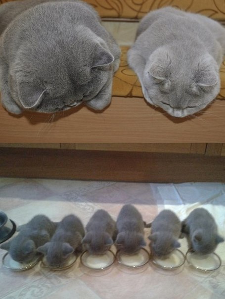 Разные картинки