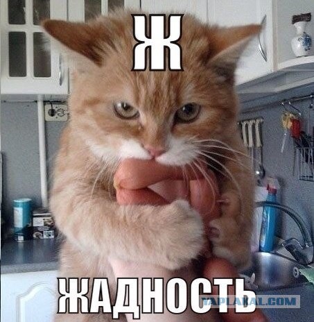 Отовсюду понемногу
