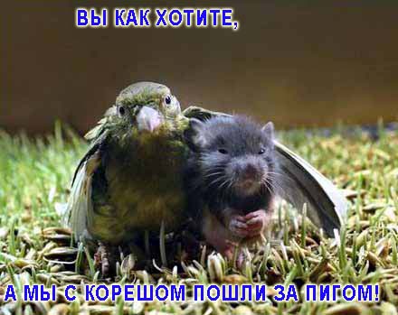 Уже да :) Ужо пятнецца...