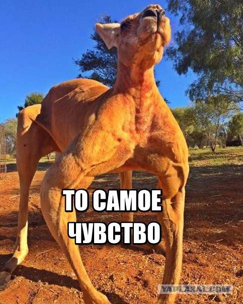 Воскресная подборка картинок