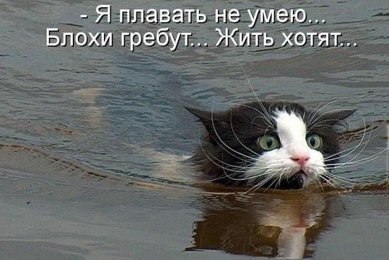 Свежая подборка картинок