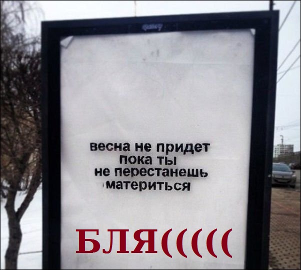 Смешные картинки