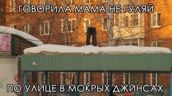 Забавные картинки из Сети