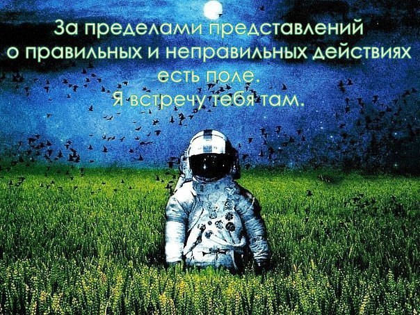 Картинки из сети