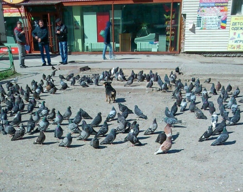 Подборка интересных и веселых картинок