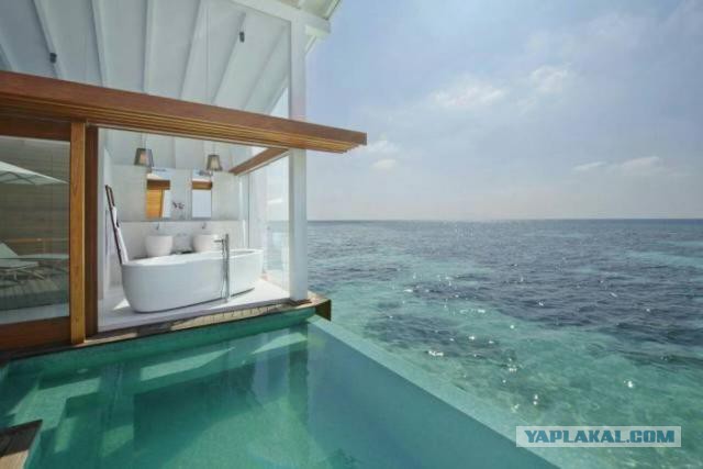 Подборка интересных и красивых фото