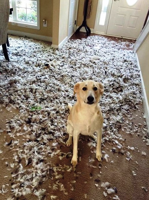 Подборка интересных и веселых картинок