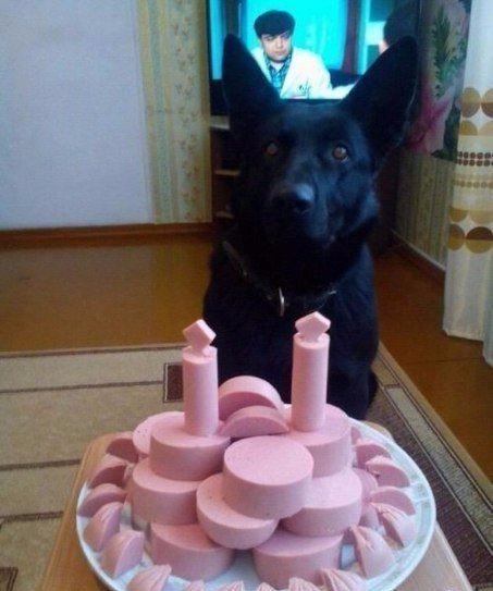 Мохнатые беспредельщики