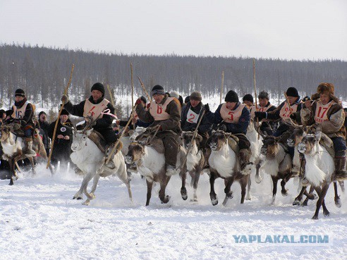 Заезд выпукников ЖКХ