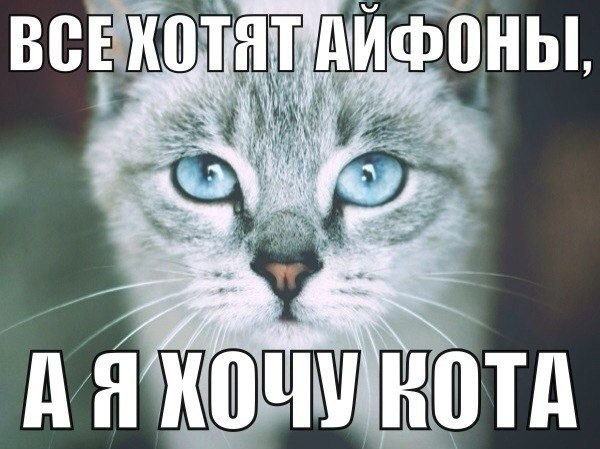 Прикольные животные