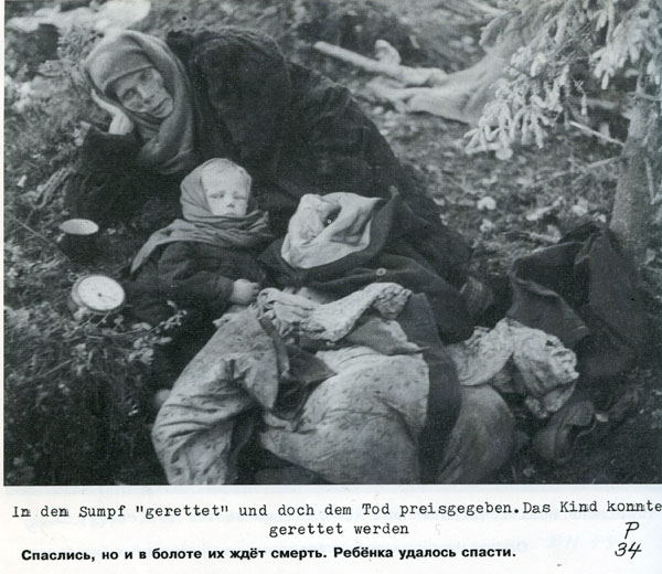 Волховский фронт. 1942. Взгляд с той стороны.